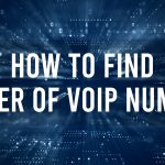 How to Find Owner of VoIP Number